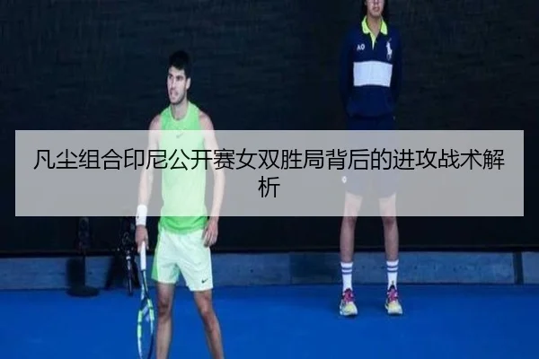 fan-chen-zu-he-yin-ni-gong-kai-sai-nv-shuang-sheng-ju-bei-hou-de-jin-gong-zhan-shu-jie-xi-2-882.jpg