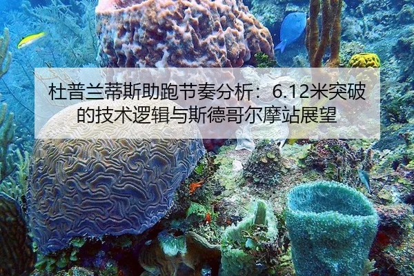 du-pu-lan-di-si-zhu-pao-jie-zou-fen-xi-mi-tu-po-de-ji-shu-luo-ji-yu-si-de-ge-er-mo-zhan-zhan-wang-3-575.jpg